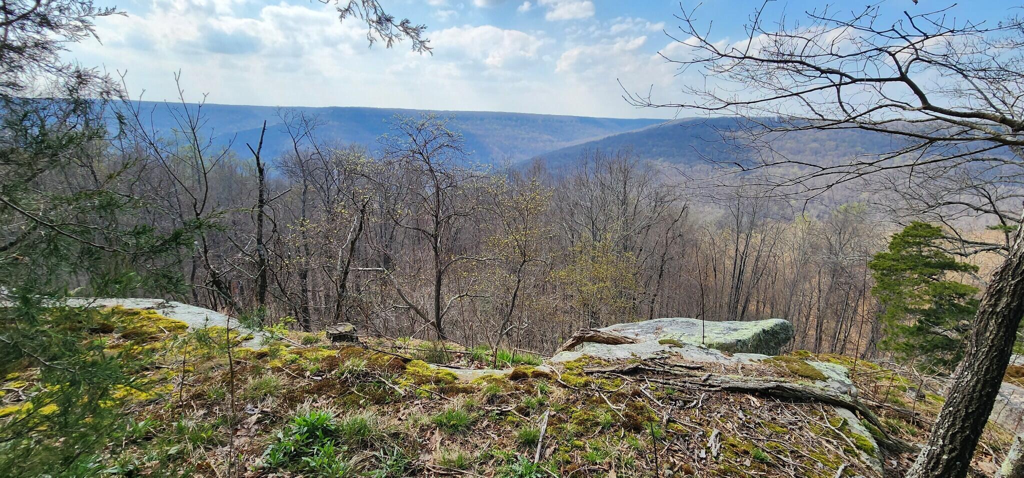0 Roth Point Road, Unit 5 Altamont, TN 37301 - Photo 3 of 41 2