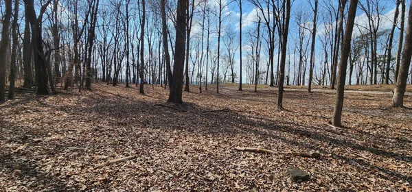 $125,000 | 0 Roth Point Road, Unit 5, Altamont, TN 37301