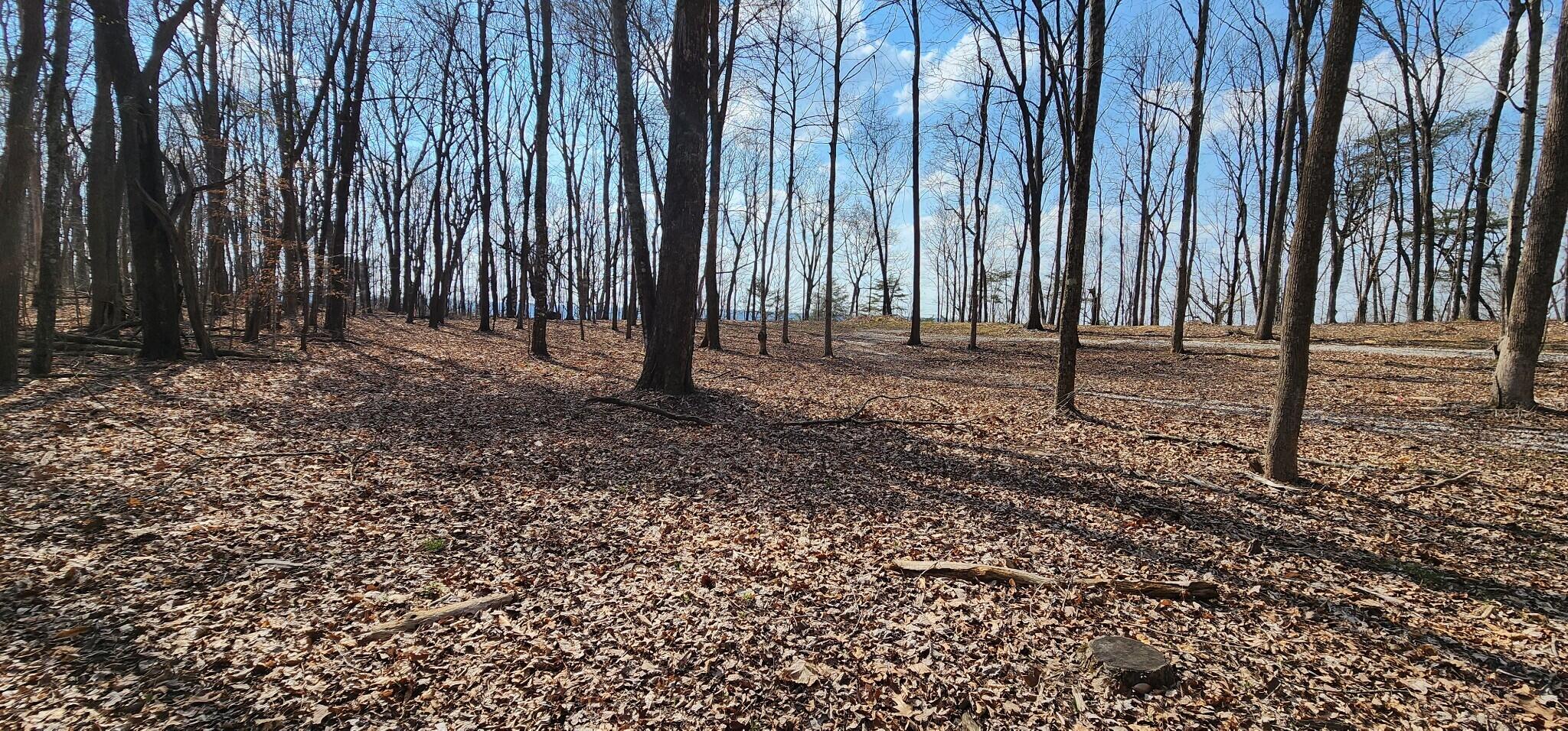 0 Roth Point Road, Unit 5 Altamont, TN 37301 - Photo 33 of 41 32