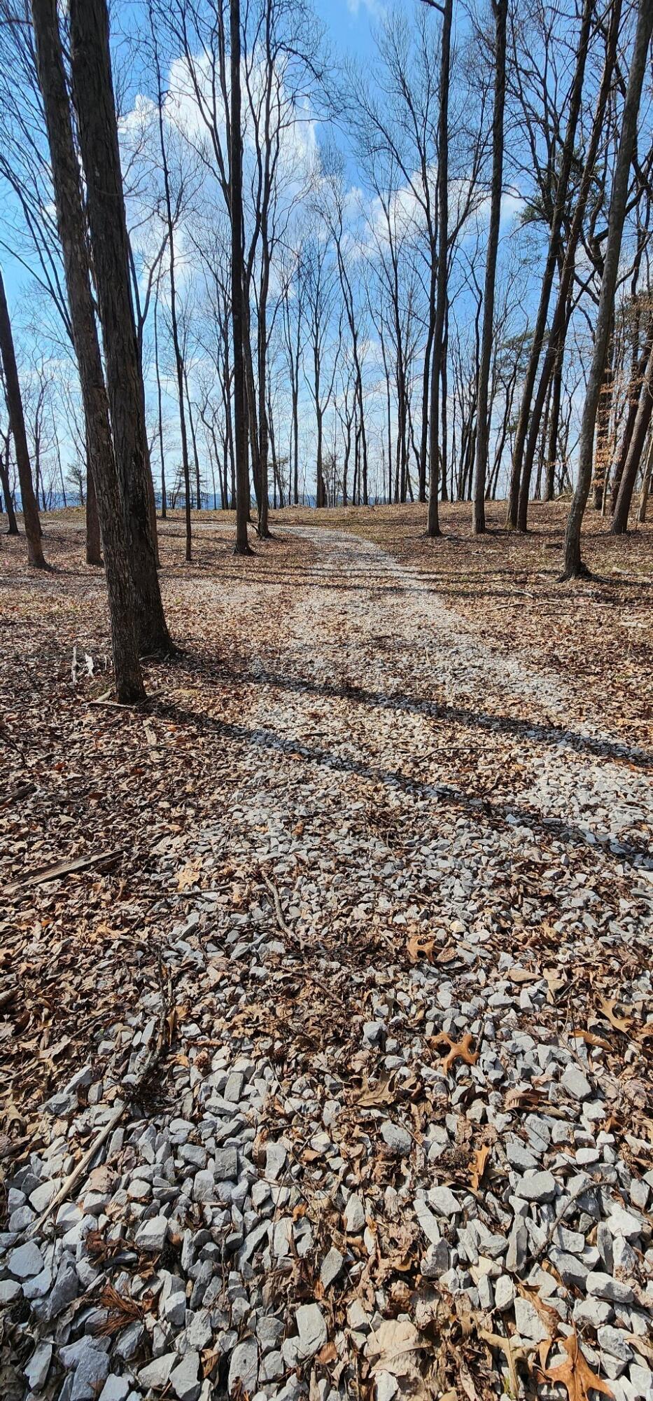 0 Roth Point Road, Unit 5 Altamont, TN 37301 - Photo 35 of 41 34