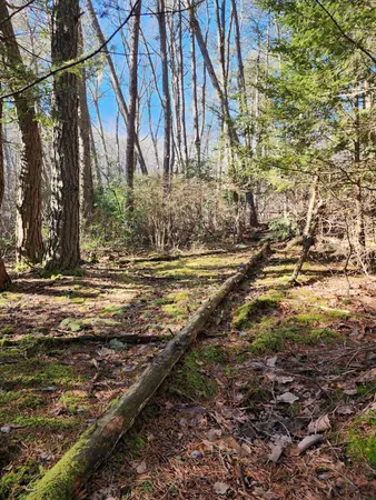 $125,000 | 0 Roth Point Road, Unit 5, Altamont, TN 37301