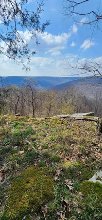 $125,000 | 0 Roth Point Road, Unit 5, Altamont, TN 37301