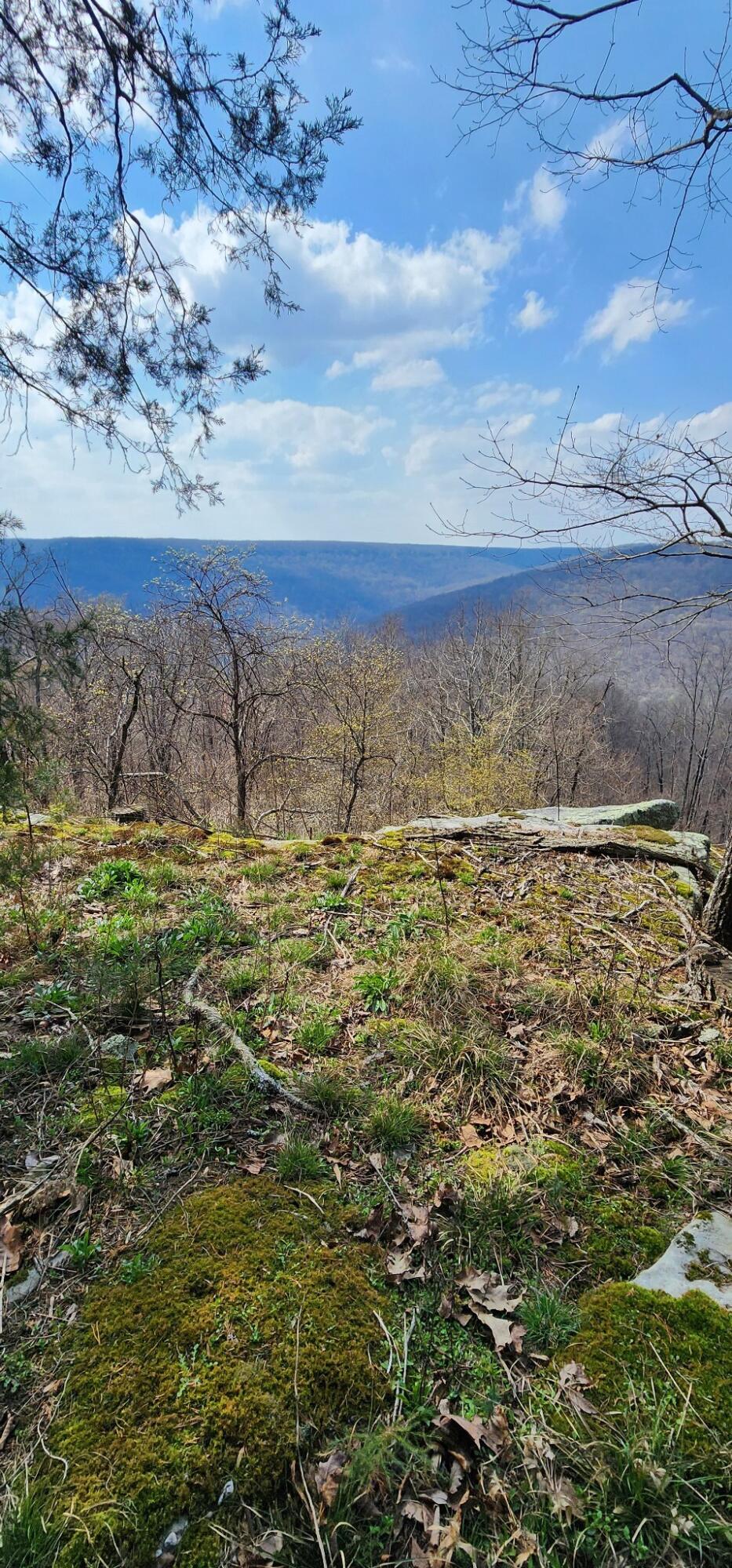 0 Roth Point Road, Unit 5 Altamont, TN 37301 - Photo 7 of 41 6
