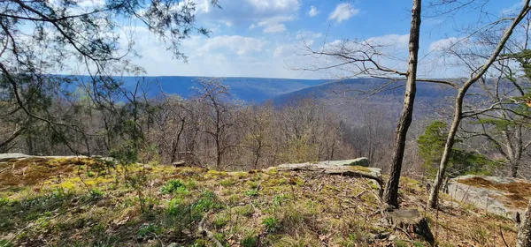 $125,000 | 0 Roth Point Road, Unit 5, Altamont, TN 37301