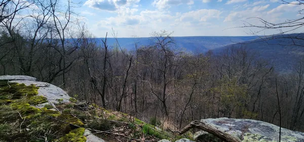 $125,000 | 0 Roth Point Road, Unit 5, Altamont, TN 37301