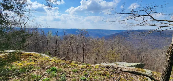 $125,000 | 0 Roth Point Road, Unit 5, Altamont, TN 37301