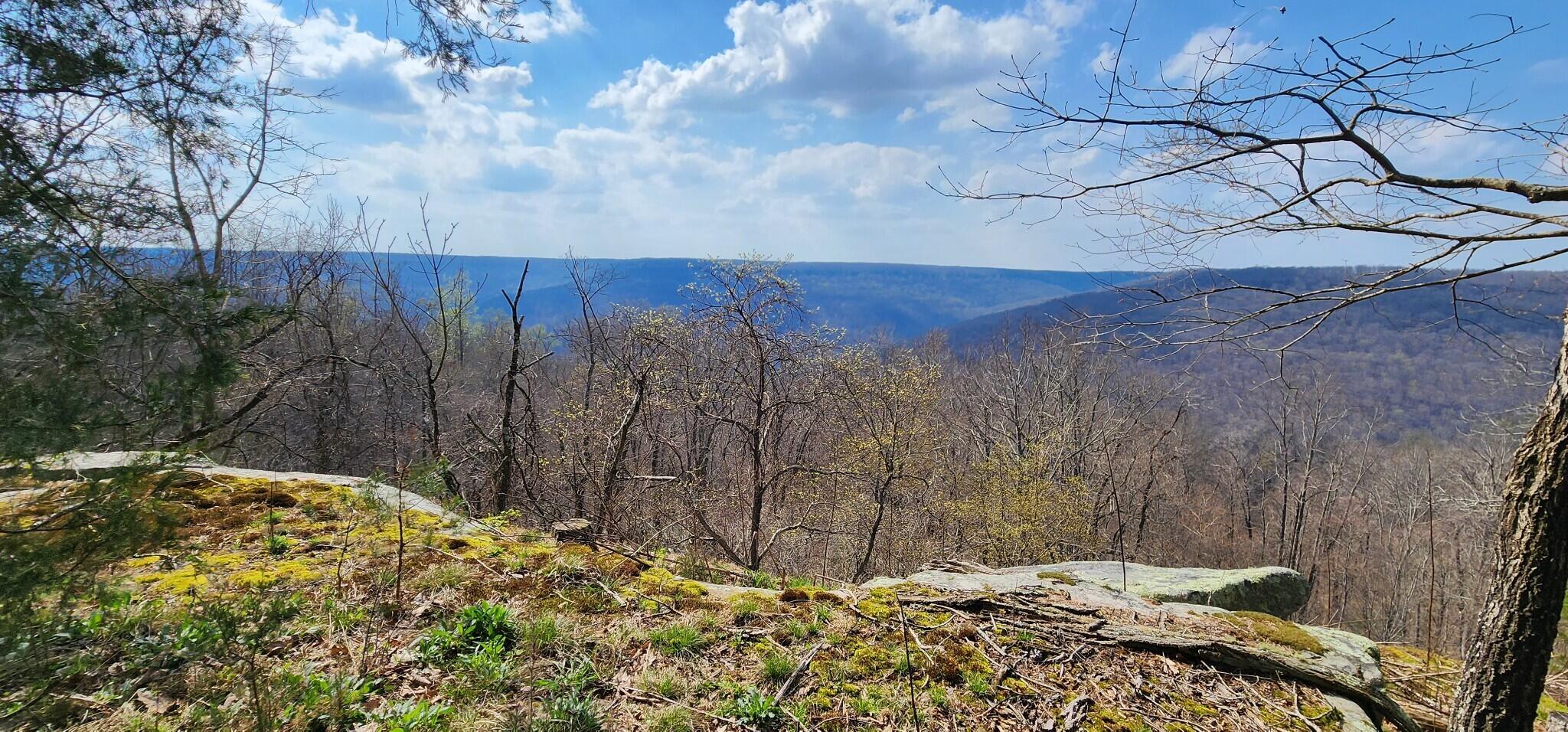 0 Roth Point Road, Unit 5 Altamont, TN 37301 - Photo 10 of 41 9