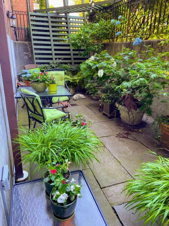 391 Walnut Street, Unit 4 Newton, MA 02460 - Photo 23 of 26 a bunch of flowers in front of a house