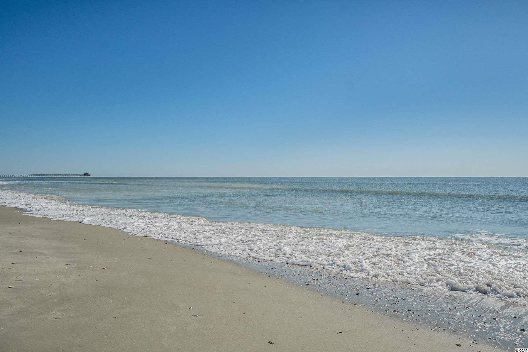 1919 Spring Street, Unit 33B North Myrtle Beach, SC 29582 - Photo 26 of 32 Gallery Image 26
