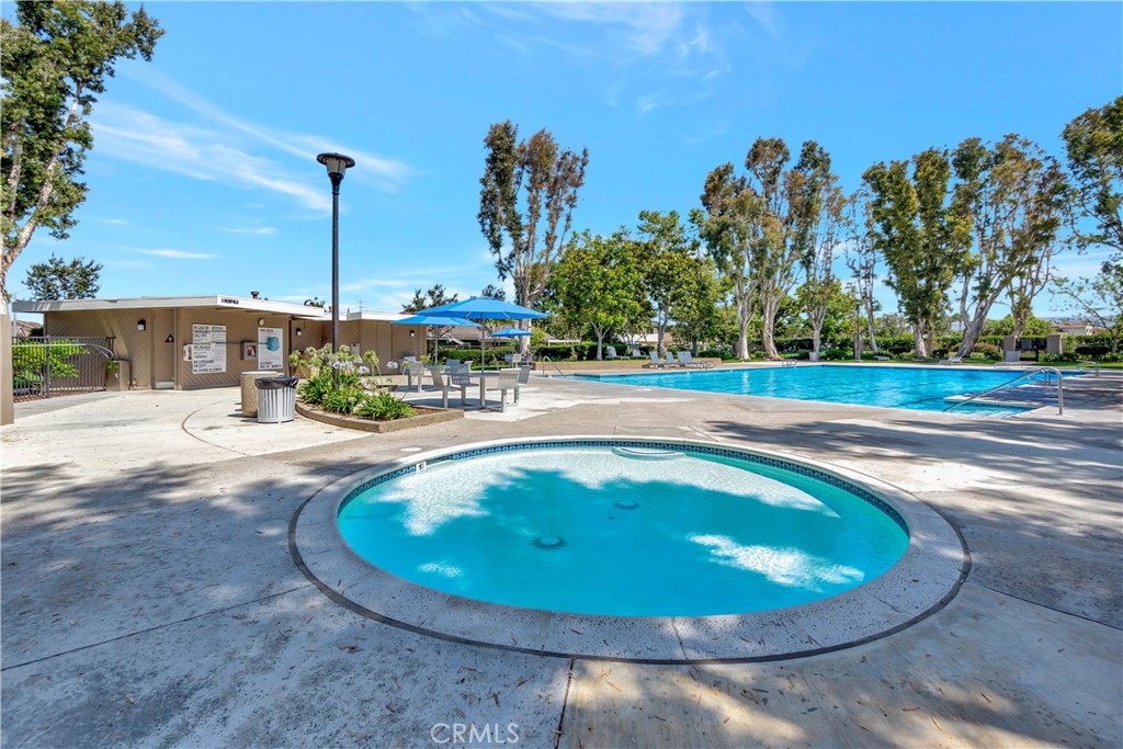30 Silverwood Irvine, CA 92604 - Photo 32 of 32 a view of a swimming pool with a yard and large trees