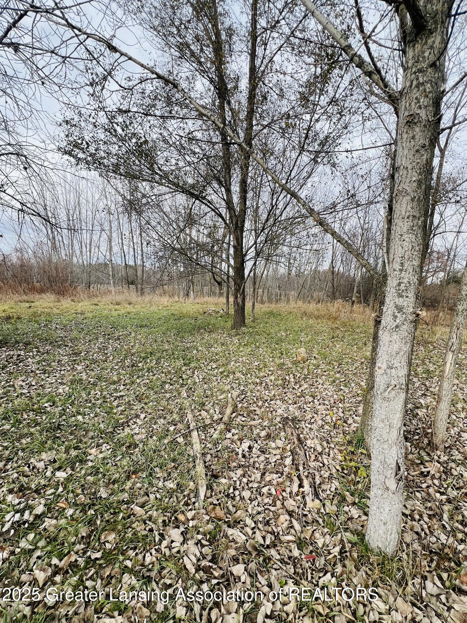 2930 South Ruess Road Owosso, MI 48867 - Photo 10 of 29 IMG_7566