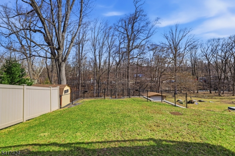 68 Arch Street Butler, NJ 07405 - Photo 37 of 46 a view of a backyard with large trees