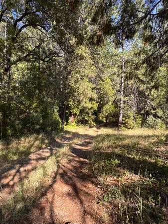 $115,000 | 16492 Indiana Ranch Road, Brownsville, CA 95919