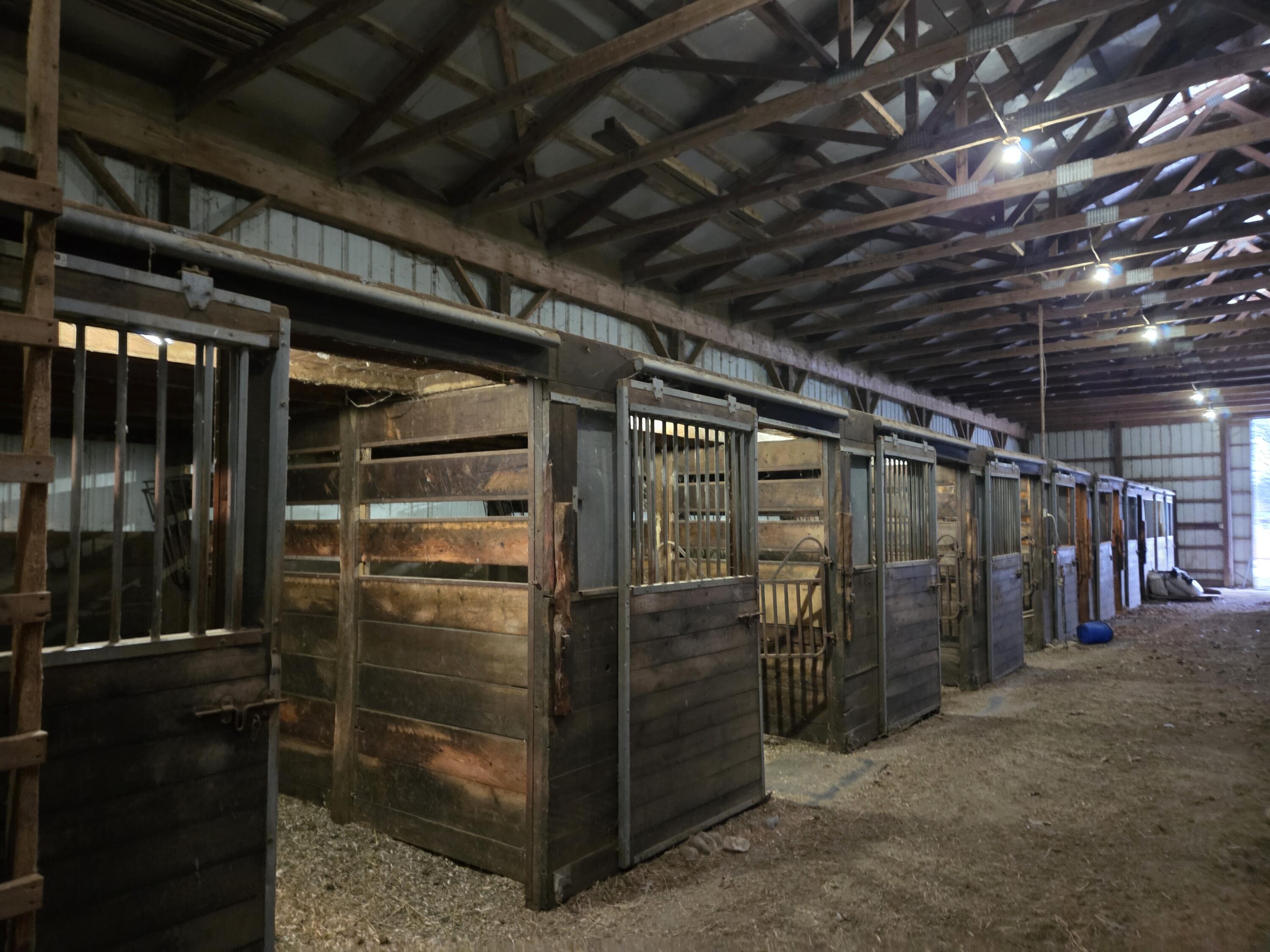 7924 North Deja Road Edmore, MI 48829 - Photo 8 of 10 20260318_080912