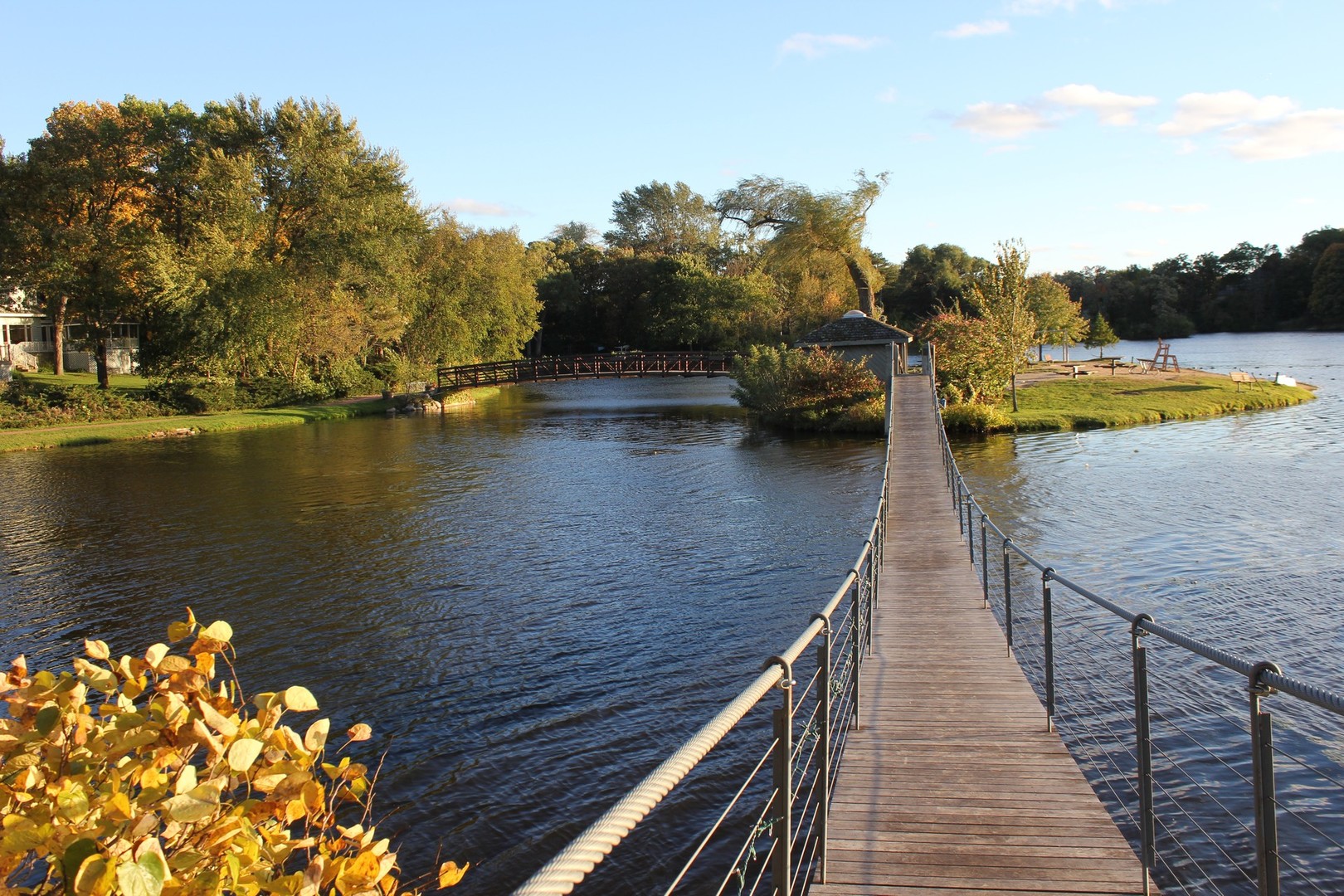 412 Warwick Road Tower Lakes, IL 60010 - Photo 27 of 30 a view of a lake with houses