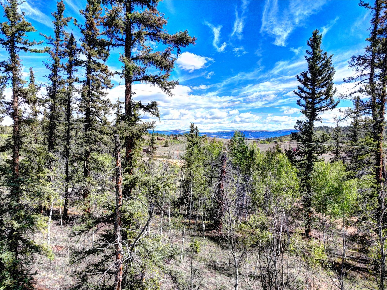 75 Swiggler Road Jefferson, CO 80456 - Photo 33 of 40 Gallery Image 33