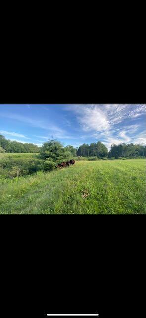 89 Marquis Road Freeport, ME 04032 - Photo 15 of 17 Last summer