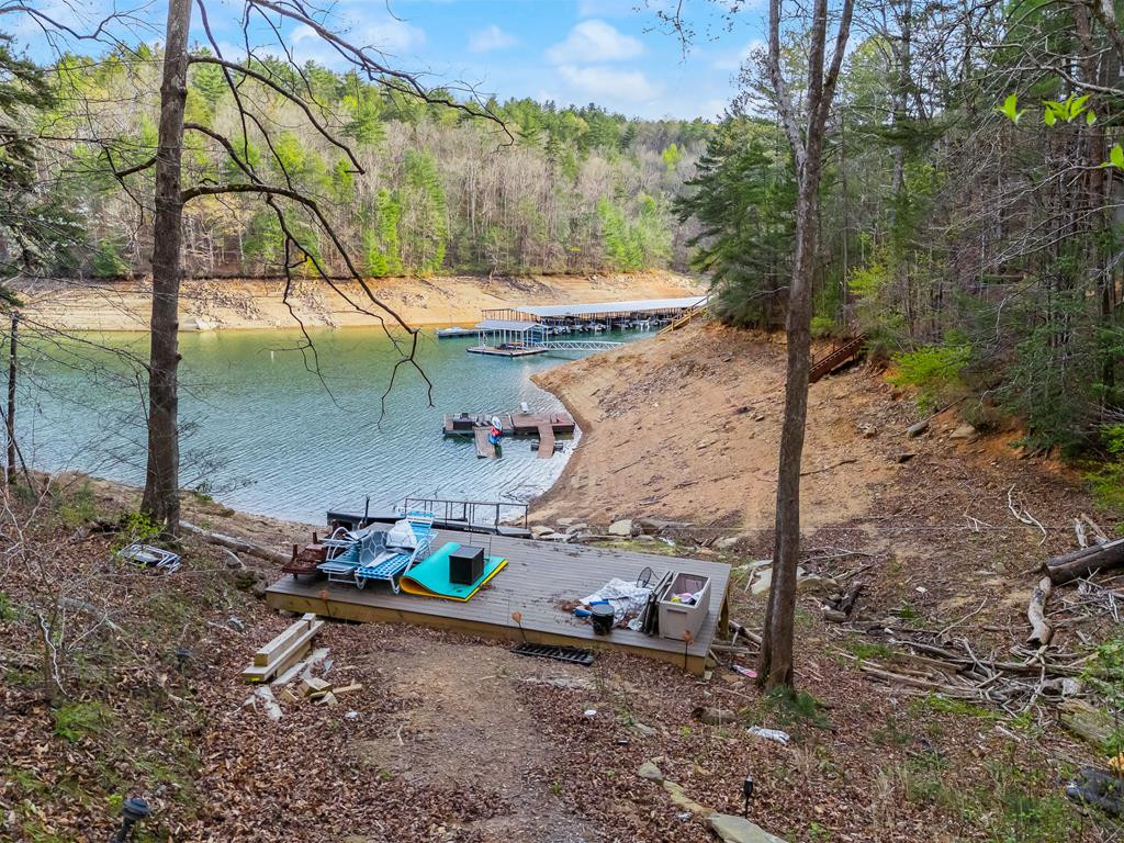 899 Lonesome Pine Road Murphy, NC 28906 - Photo 60 of 87