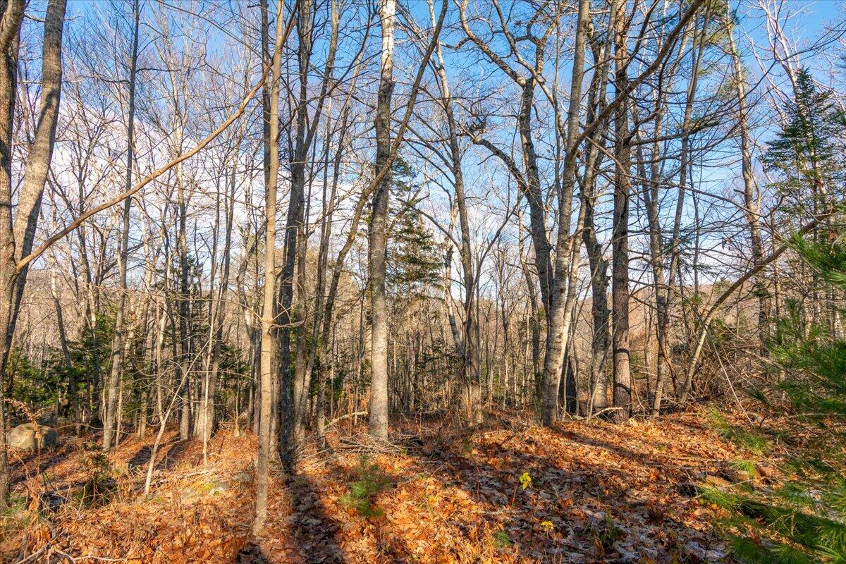 11 Map Way Rockport, ME 04856 - Photo 14 of 27 Map 11 Lot 50-2 Malachi Way, Rockport