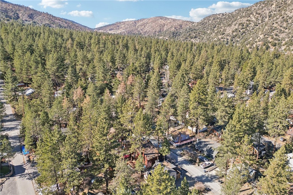1847 Thrush Road Wrightwood, CA 92397 - Photo 29 of 33 a view of a forest