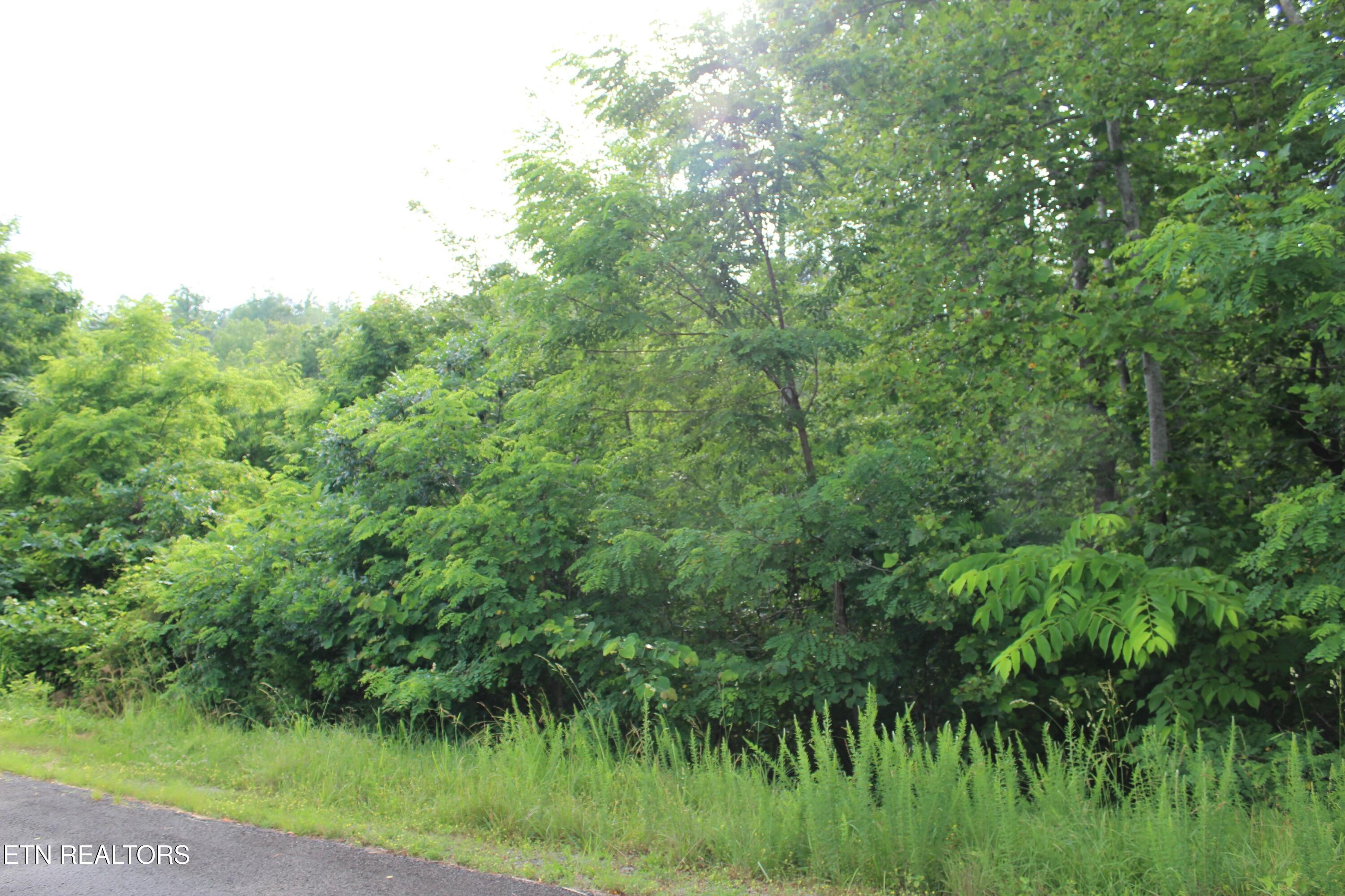 Graphite Court New Tazewell, TN 37825 - Photo 3 of 4 tempImageTd1qDy