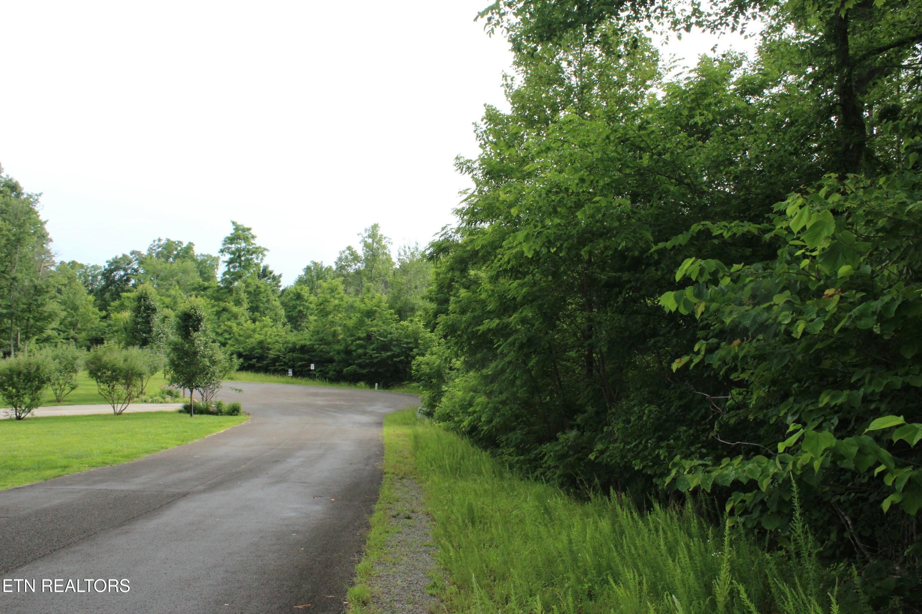 Graphite Court New Tazewell, TN 37825 - Photo 4 of 4 tempImagek750oH