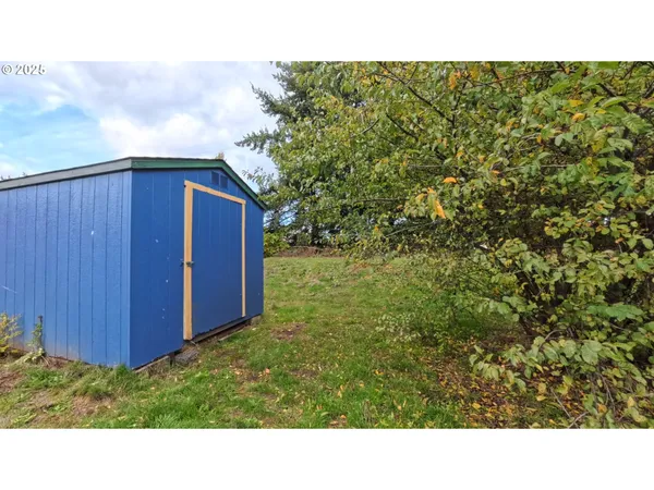 a picture of a yard