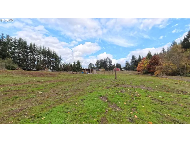 a open area with grassy field