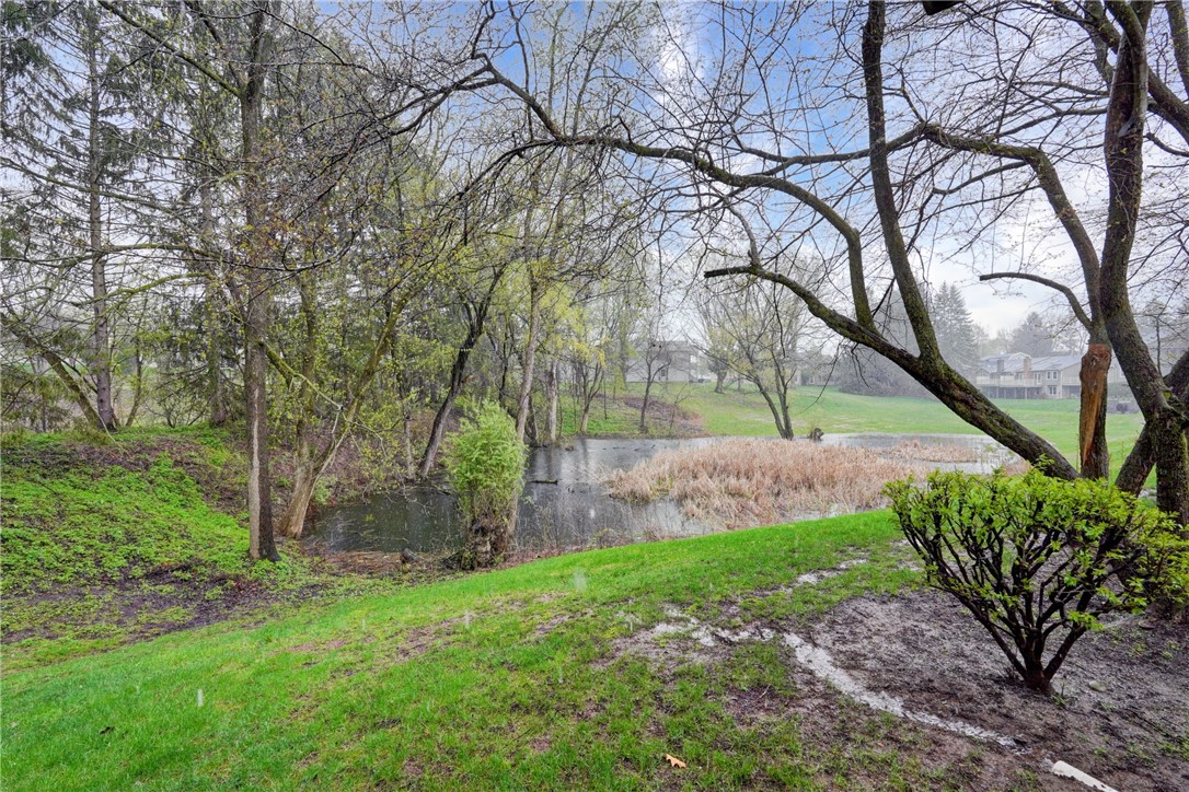 89 Creek Ridge Pittsford, NY 14534 - Photo 21 of 24 Pond View
