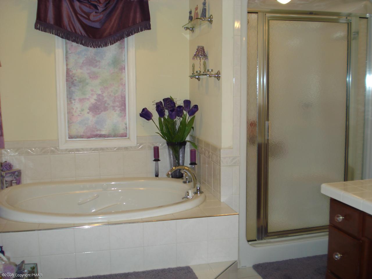 507 Cays Road Stroudsburg, PA 18360 - Photo 15 of 31 master bth