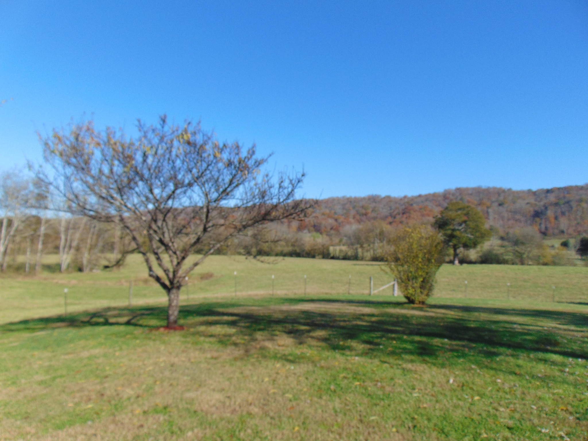 4019 Decatur Highway Kingston, TN 37763 - Photo 2 of 13 a view of a field with an trees