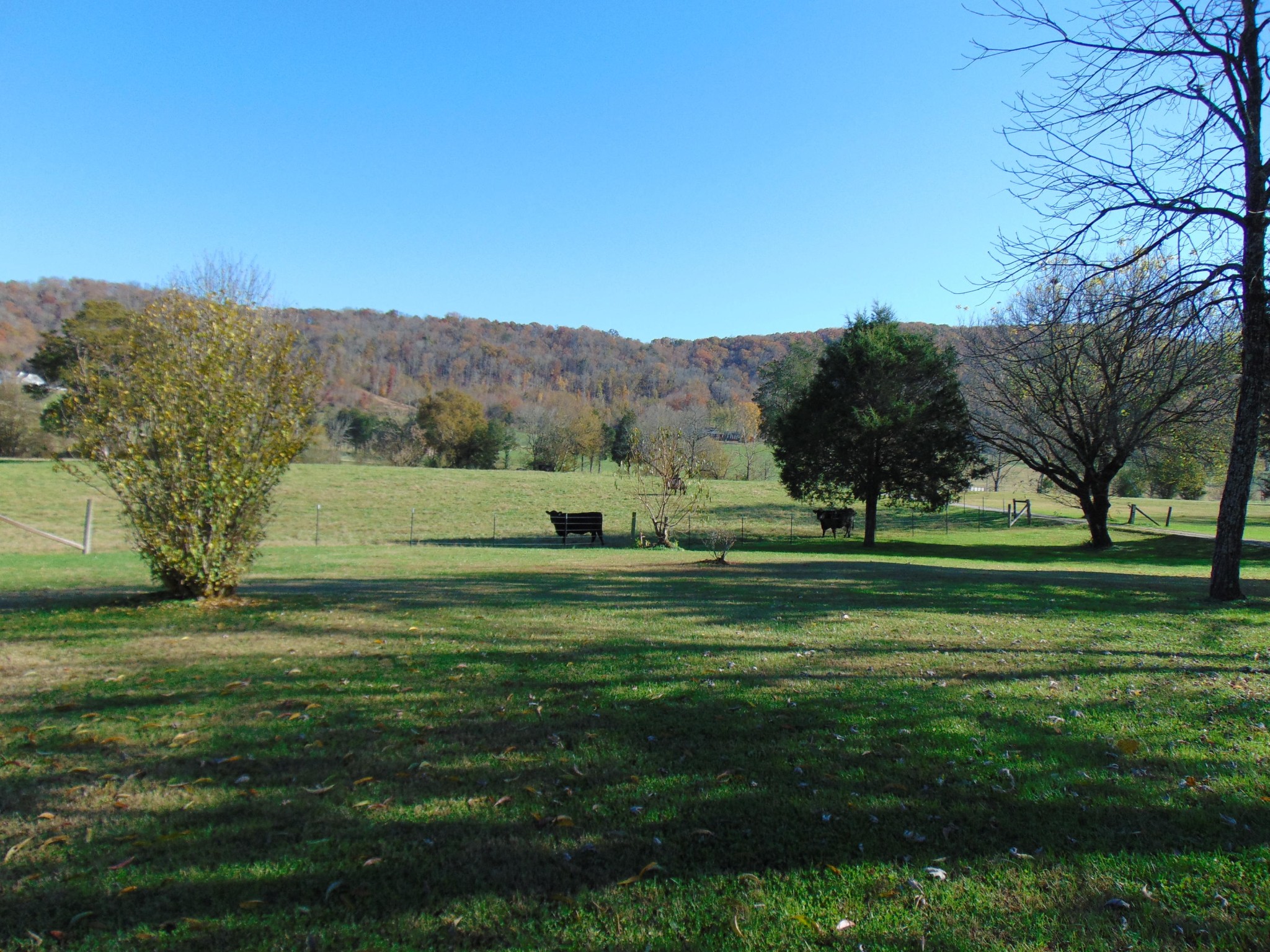 4019 Decatur Highway Kingston, TN 37763 - Photo 3 of 13 a grassy field with trees in the background