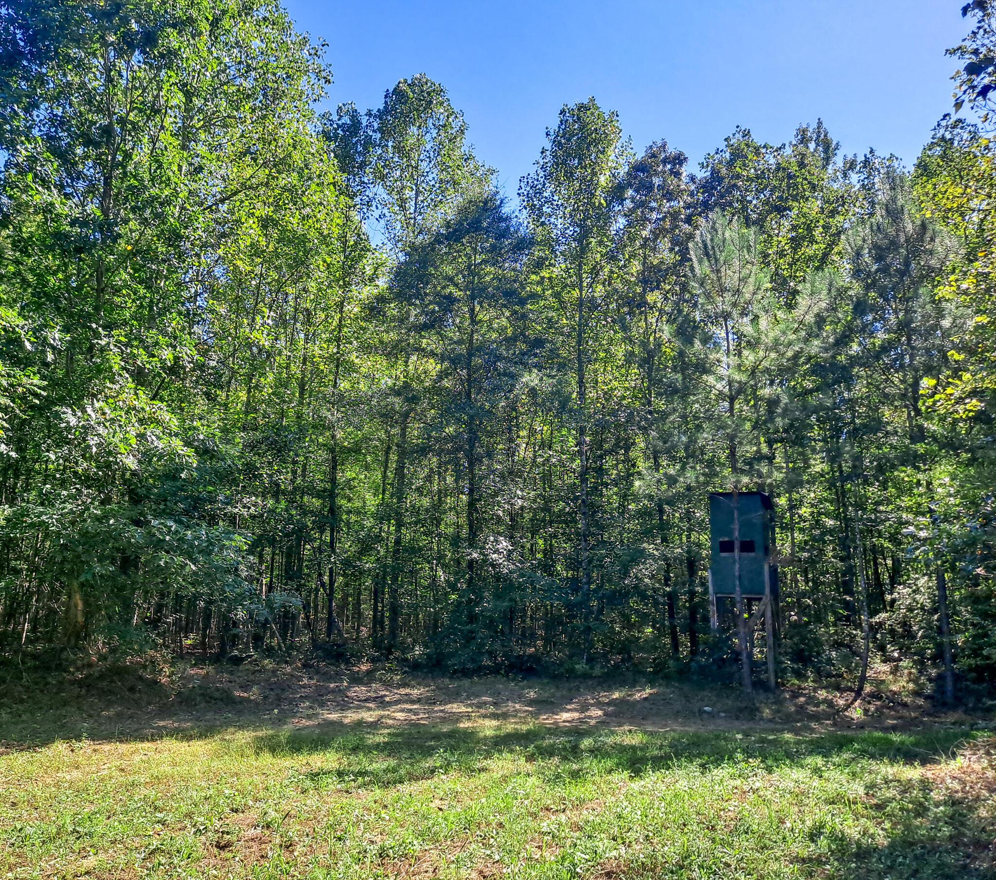 Albert Windham Road Nauvoo, AL 35578 - Photo 20 of 23 Gallery Image 20