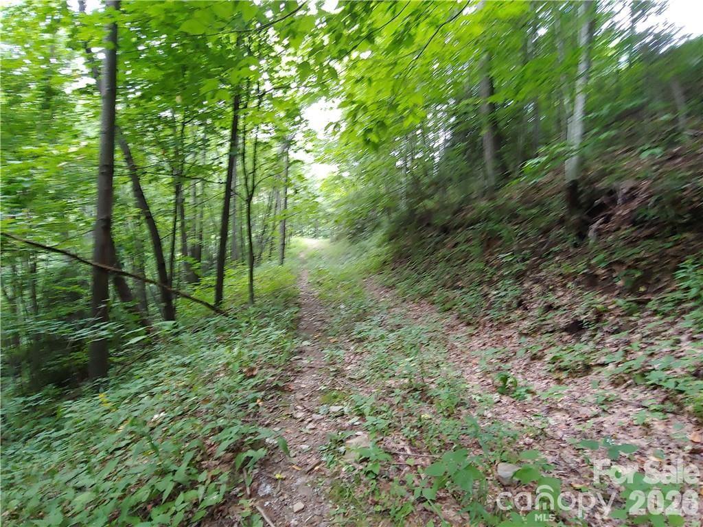 24 Tater Patch Road Maggie Valley, NC 28751 - Photo 3 of 29 Gallery Image 3