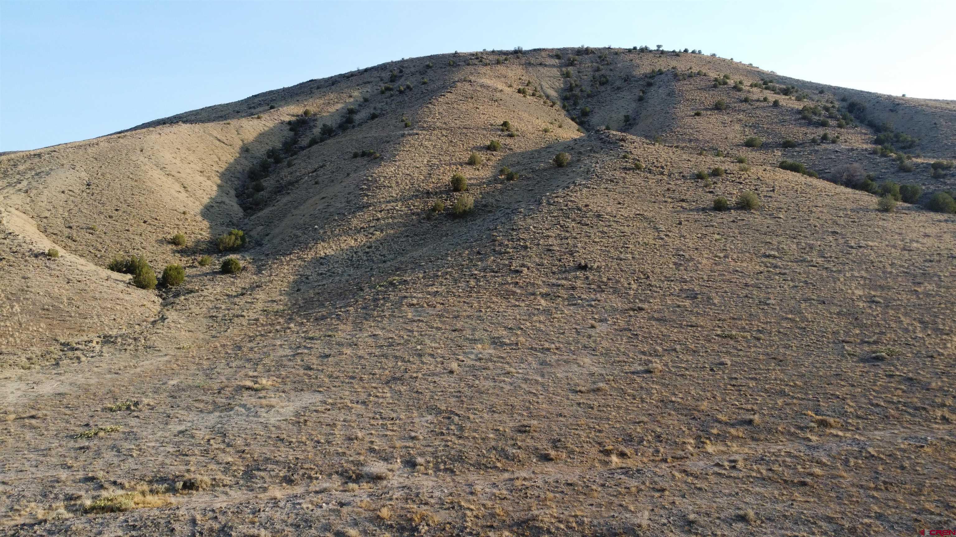 2 West Pipeline Road Delta, CO 81416 - Photo 4 of 4 a view of a dry field with trees in the background