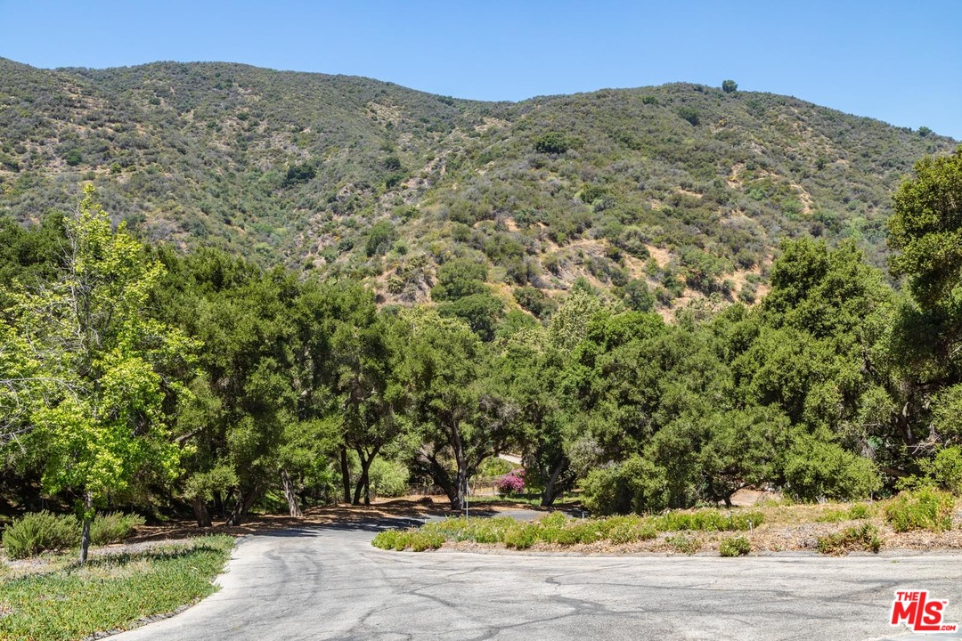 3100 Mandeville Canyon Road Los Angeles, CA 90049 - Photo 6 of 27 a view of a field with a tree