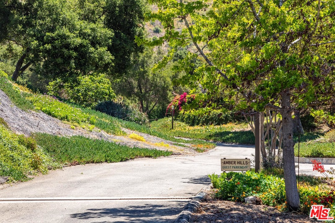 3100 Mandeville Canyon Road Los Angeles, CA 90049 - Photo 7 of 27 a view of a street with a tree