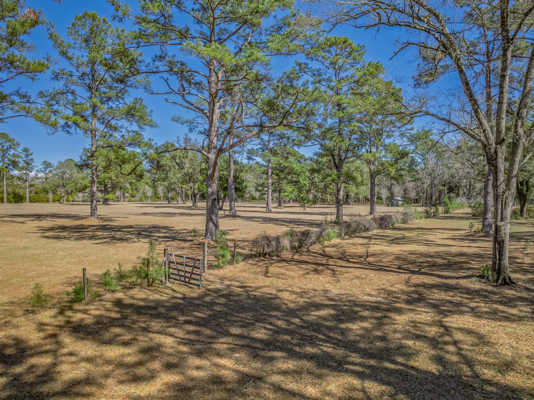 195 Persimmon Road Sopchoppy, FL 32358 - Photo 12 of 70