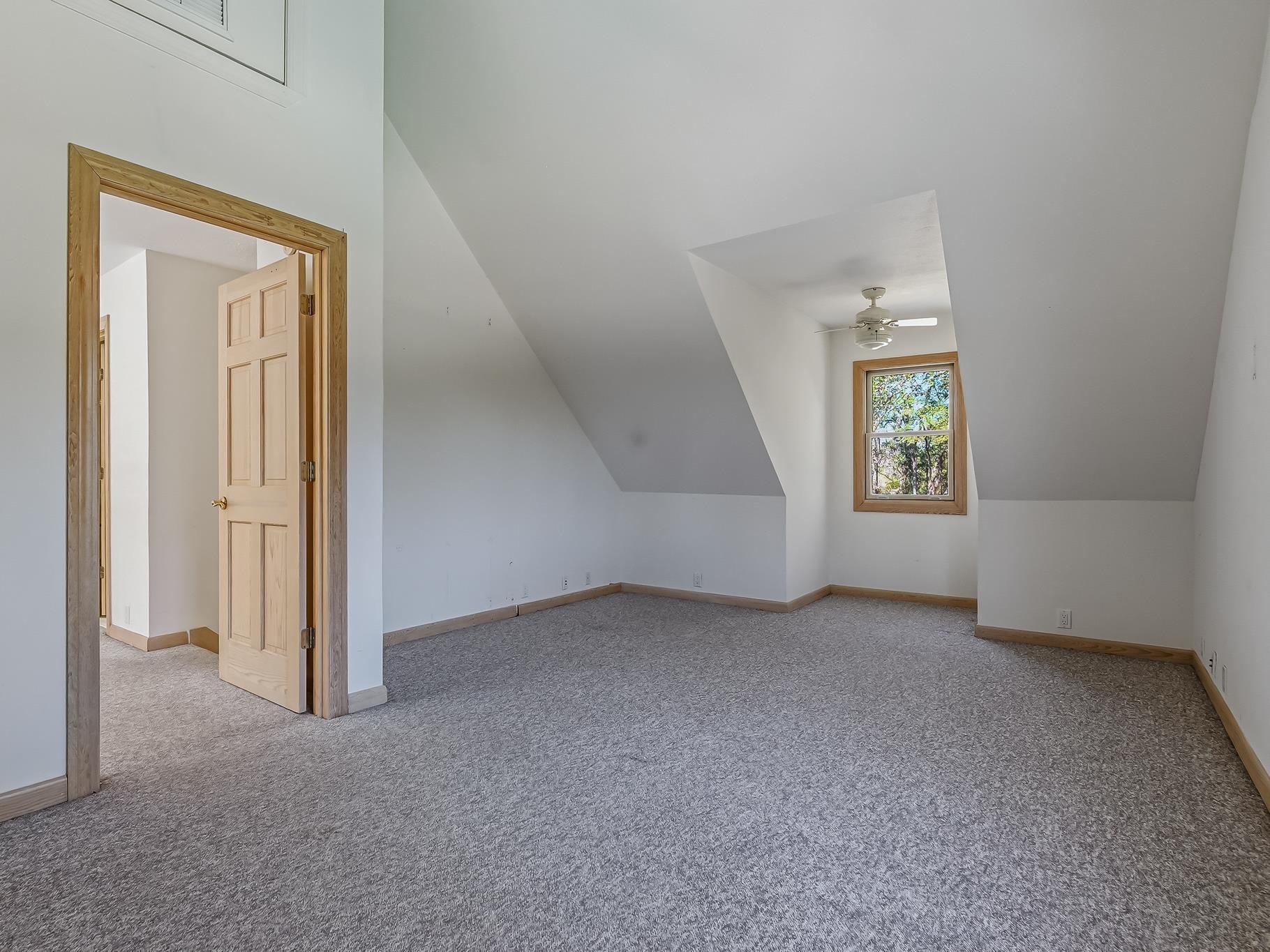 195 Persimmon Road Sopchoppy, FL 32358 - Photo 45 of 70