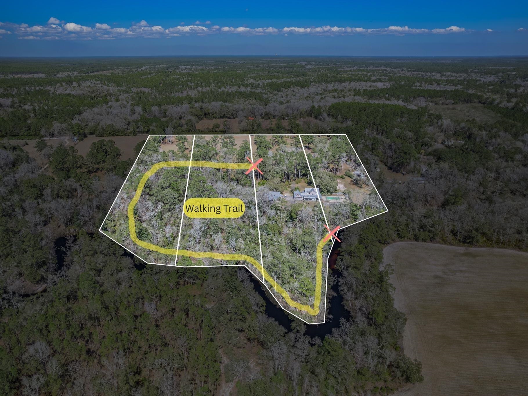 195 Persimmon Road Sopchoppy, FL 32358 - Photo 6 of 70