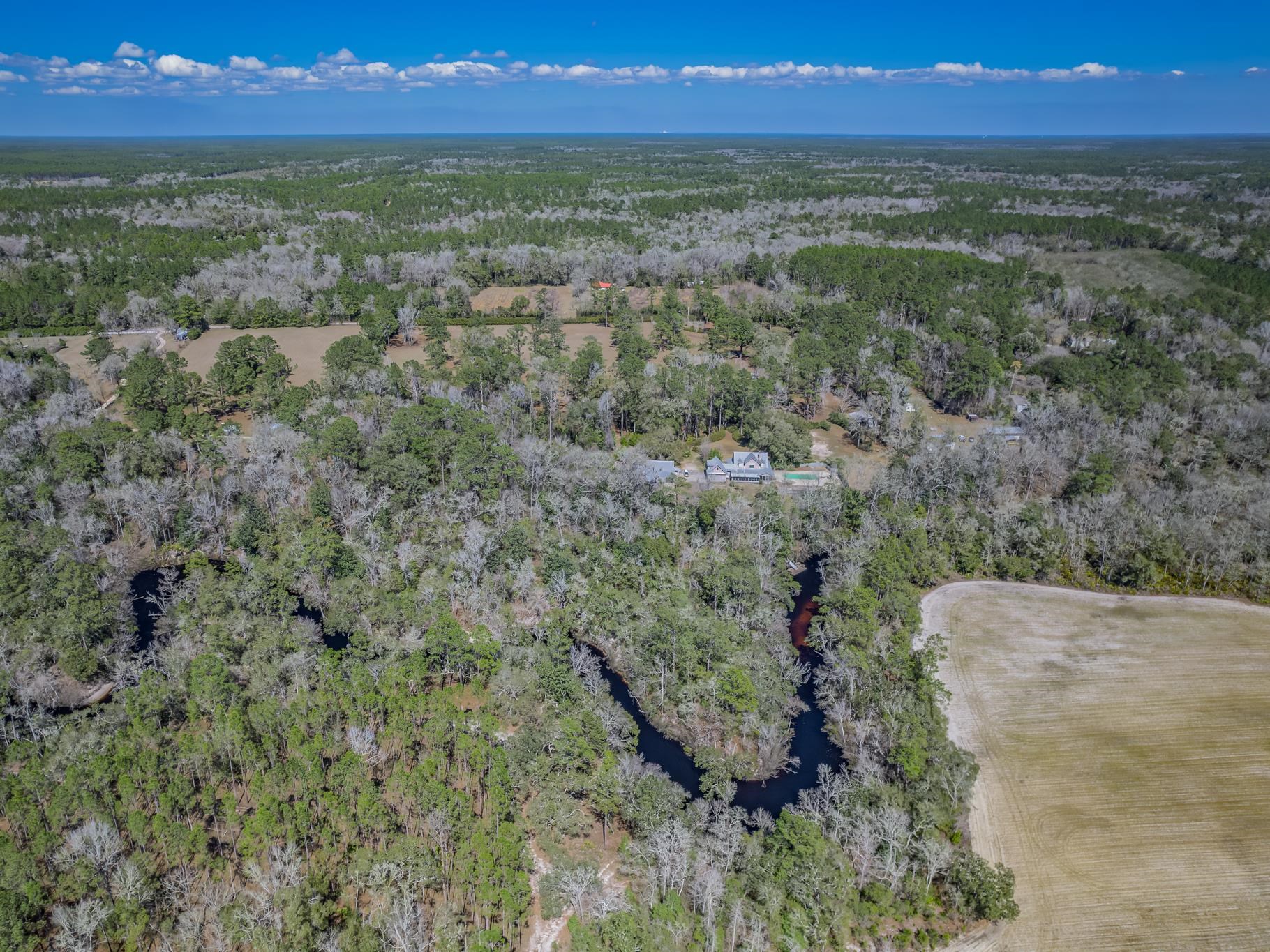 195 Persimmon Road Sopchoppy, FL 32358 - Photo 70 of 70