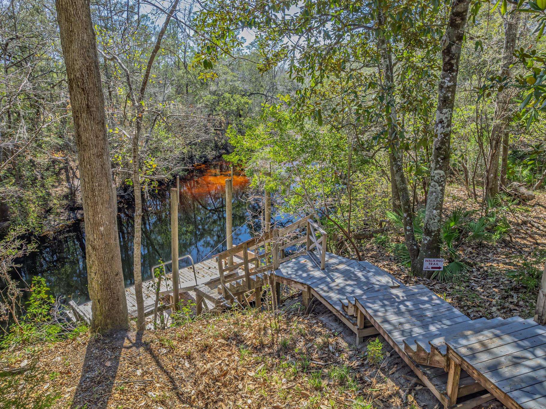195 Persimmon Road Sopchoppy, FL 32358 - Photo 8 of 70