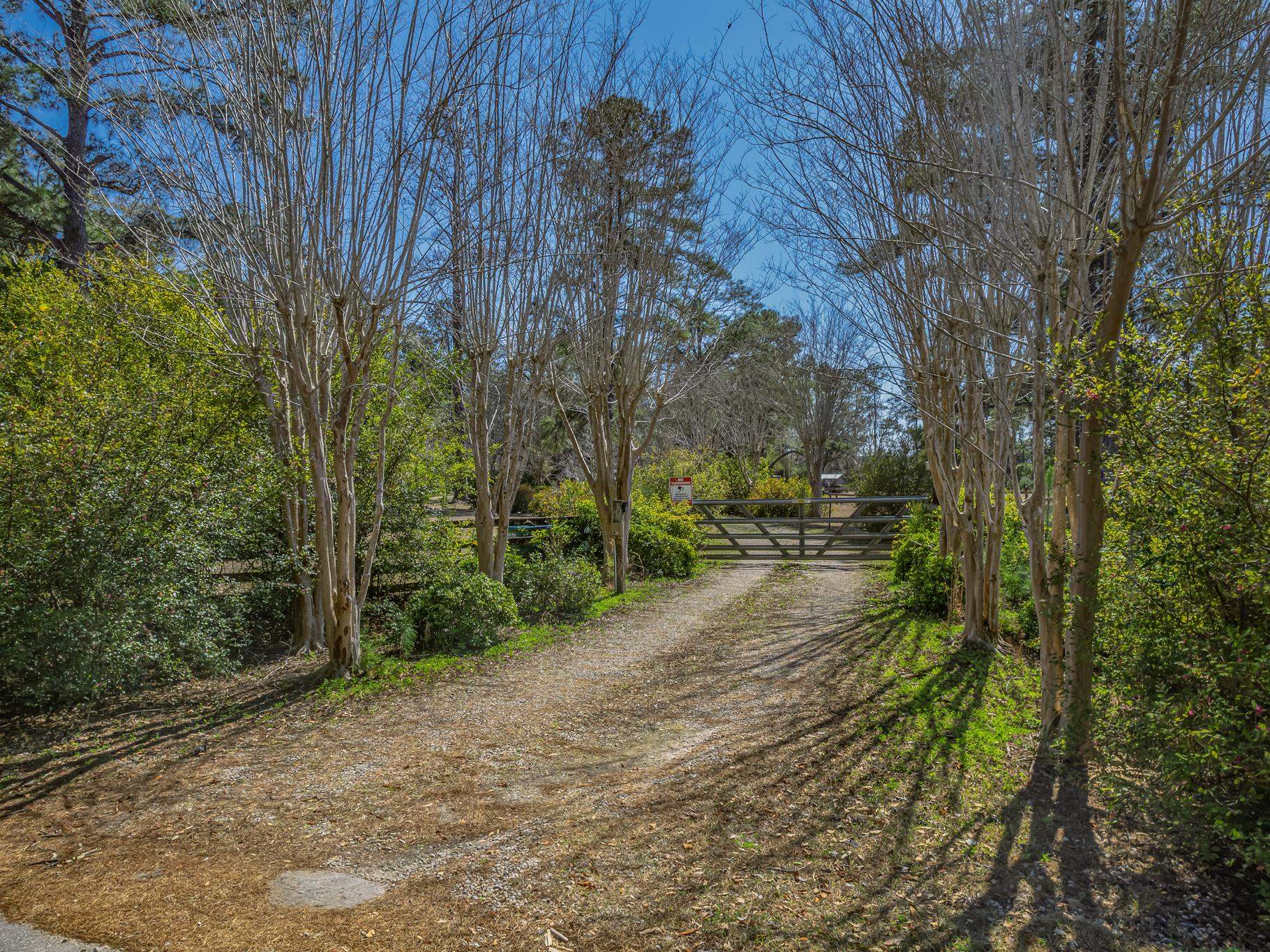 195 Persimmon Road Sopchoppy, FL 32358 - Photo 10 of 70