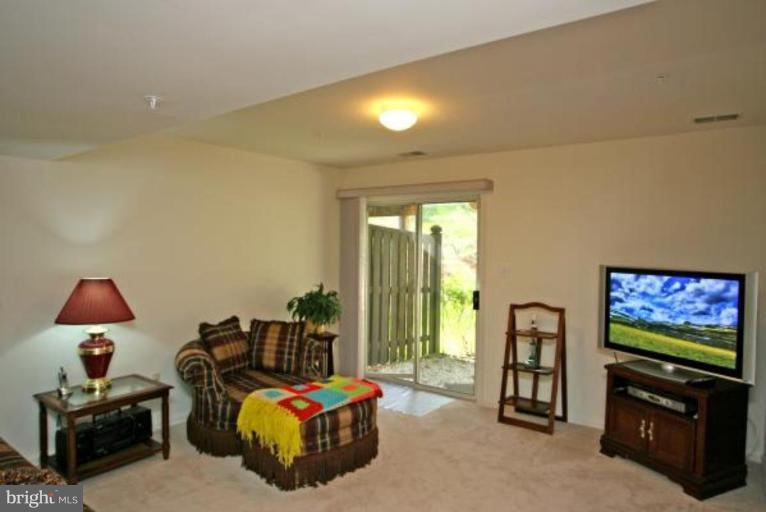 3011 Spice Bush Road Laurel, MD 20724 - Photo 7 of 20 Finished Lower Level