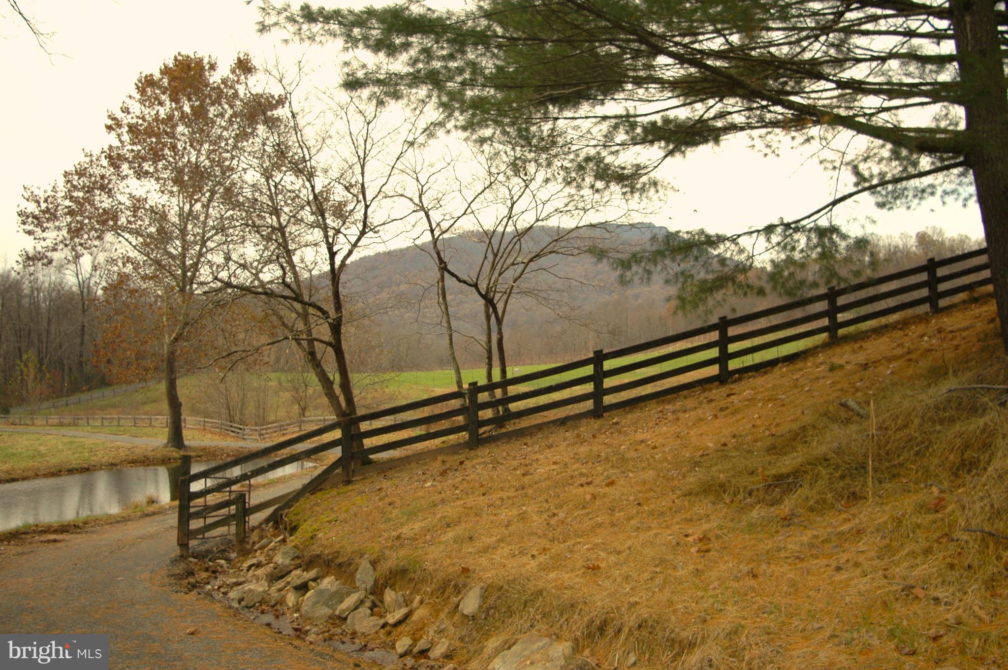 103 Moon Road Sperryville, VA 22740 - Photo 17 of 17 Old Rag... Again