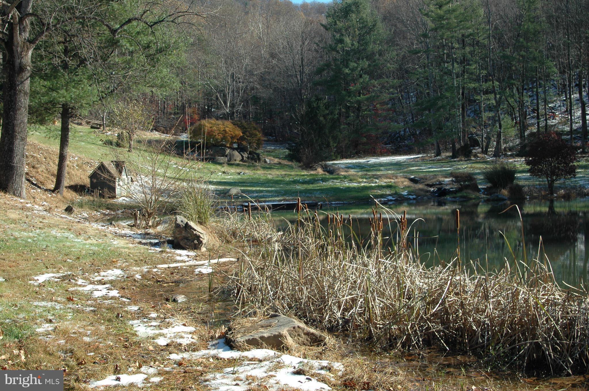 Larger Pond