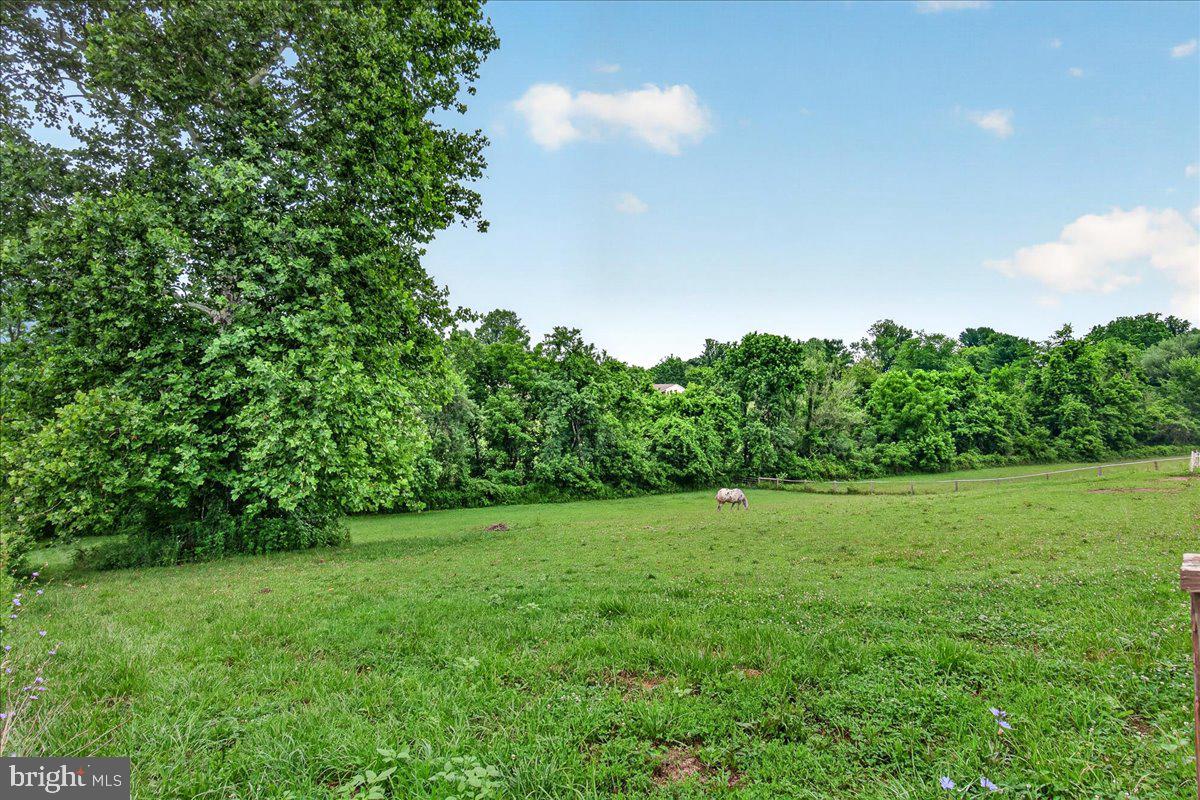 1752 Rohrersville Road Knoxville, MD 21758 - Photo 53 of 64