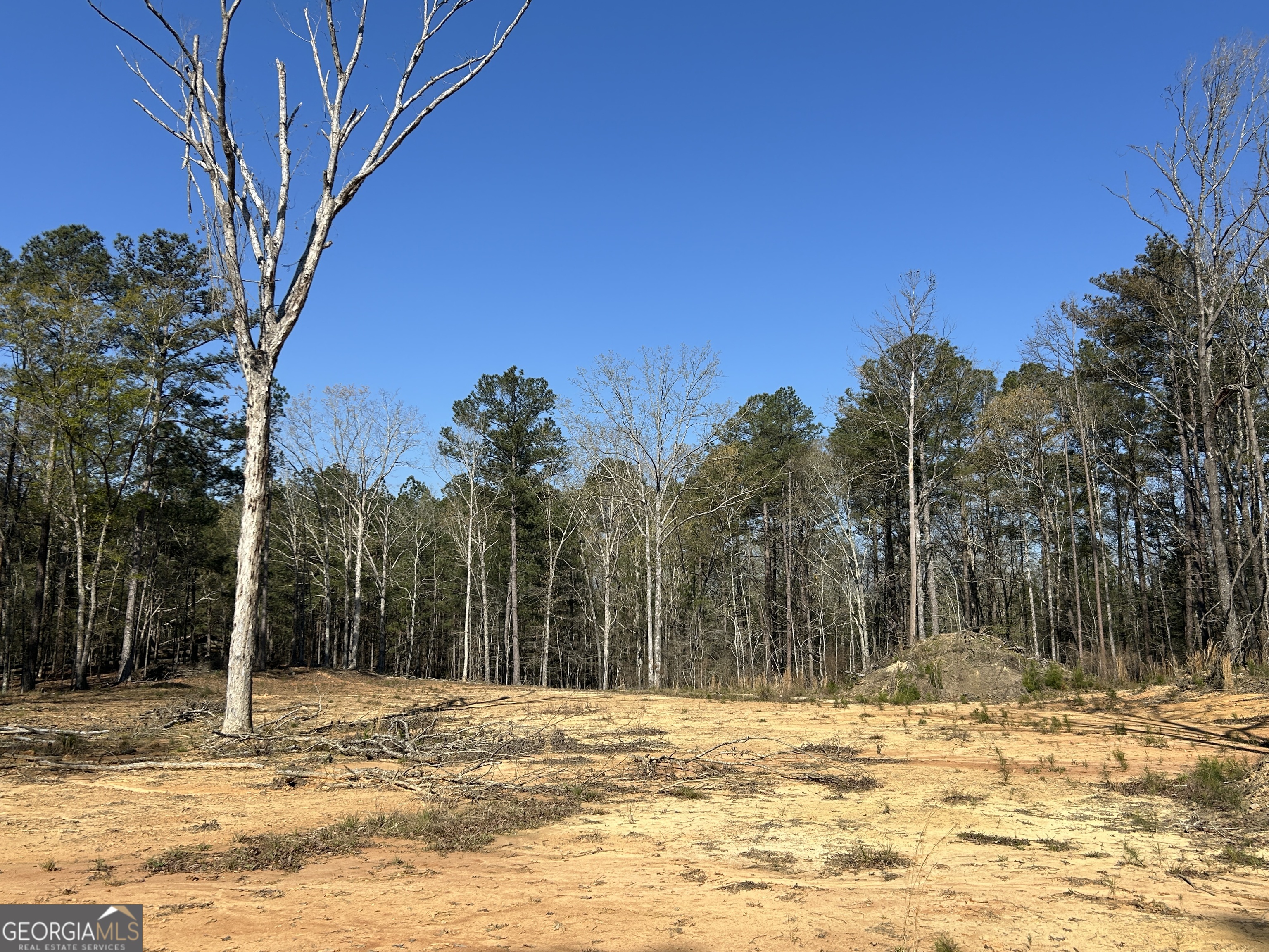 1251 Adams Road Union Point, GA 30669 - Photo 13 of 17