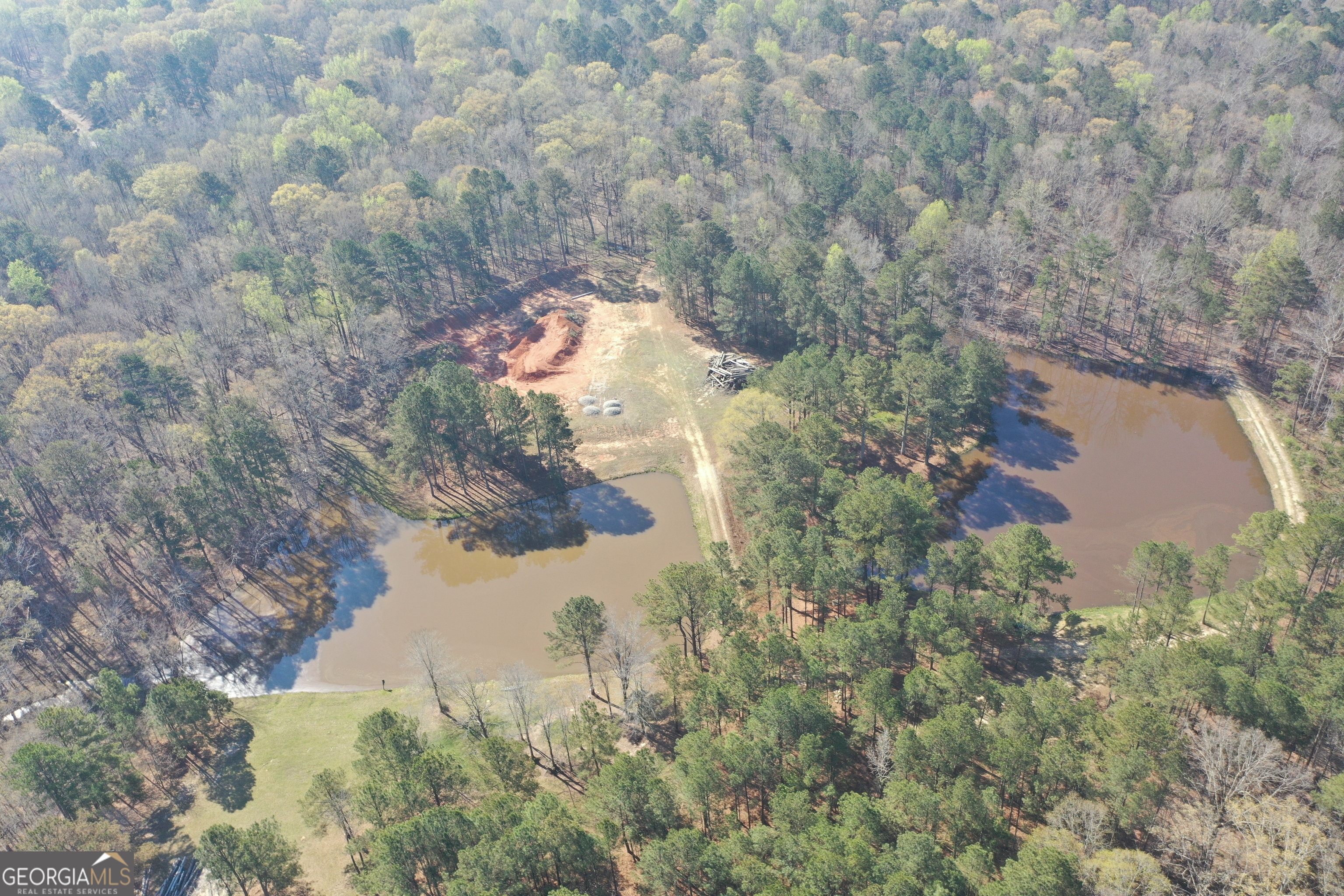 1251 Adams Road Union Point, GA 30669 - Photo 4 of 17