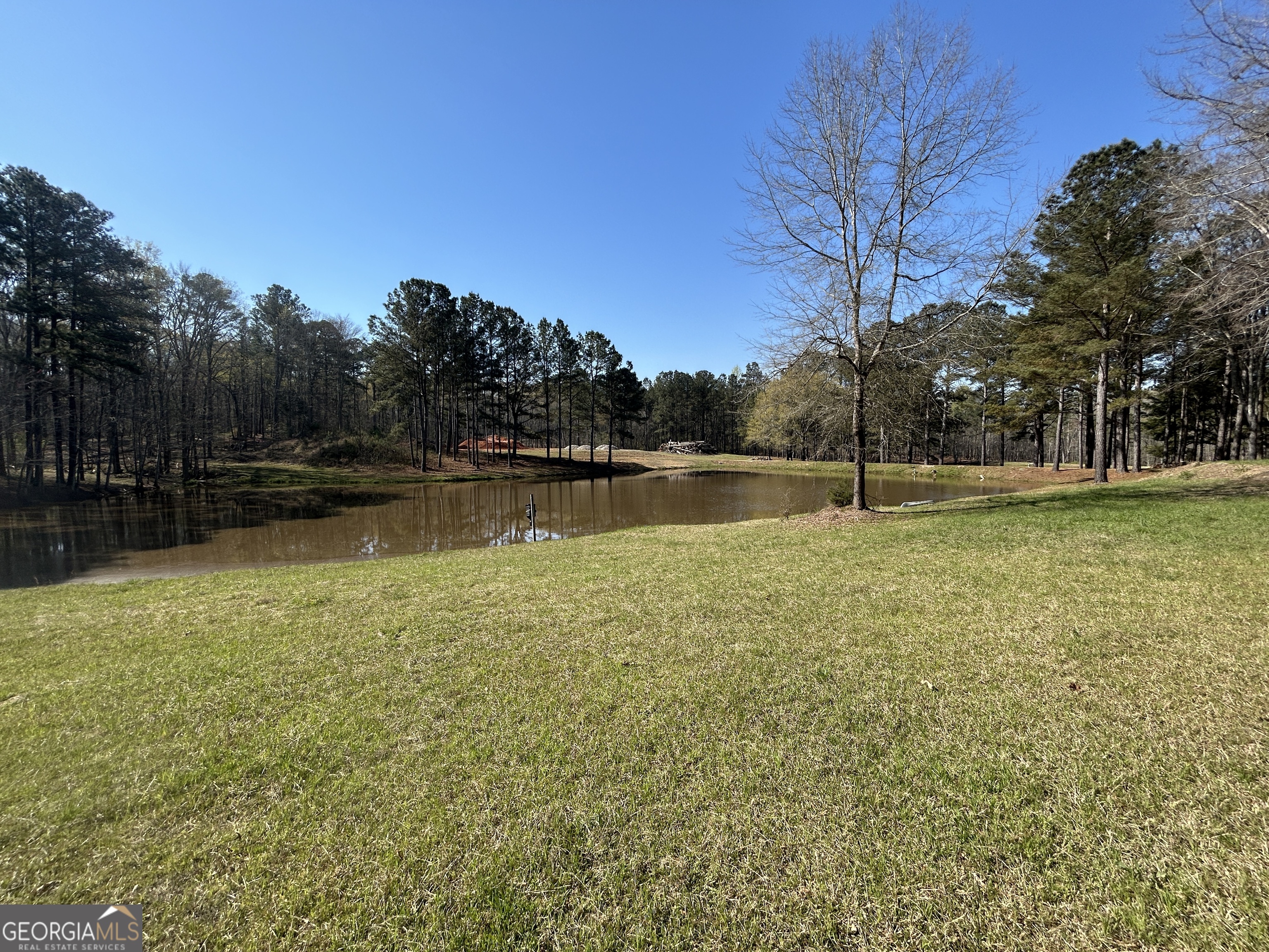 1251 Adams Road Union Point, GA 30669 - Photo 5 of 17